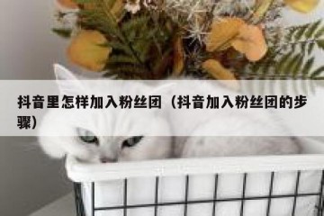 抖音里怎样加入粉丝团（抖音加入粉丝团的步骤）