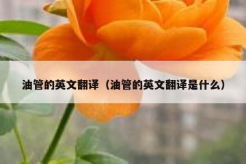 油管的英文翻译（油管的英文翻译是什么）