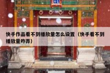 快手作品看不到播放量怎么设置（快手看不到播放量咋弄）
