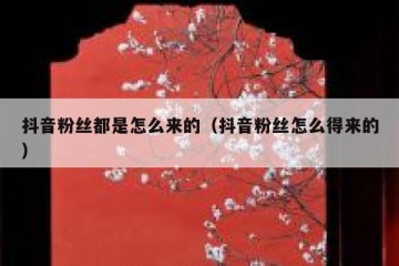 抖音粉丝都是怎么来的（抖音粉丝怎么得来的）