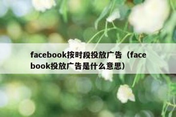 facebook按时段投放广告（facebook投放广告是什么意思）