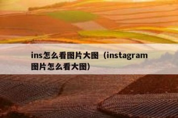 ins怎么看图片大图（instagram图片怎么看大图）