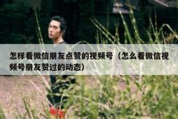 怎样看微信朋友点赞的视频号（怎么看微信视频号朋友赞过的动态）