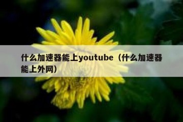 什么加速器能上youtube（什么加速器能上外网）
