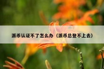 派币认证不了怎么办（派币总登不上去）