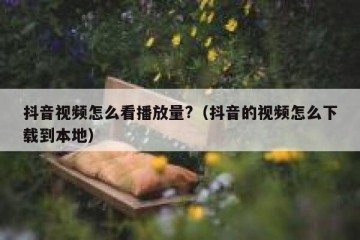 抖音视频怎么看播放量?（抖音的视频怎么下载到本地）