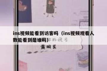 ins视频能看到访客吗（ins视频观看人数能看到是谁吗）