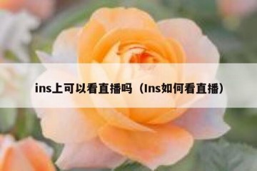 ins上可以看直播吗（Ins如何看直播）