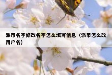 派币名字修改名字怎么填写信息（派币怎么改用户名）