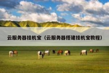 云服务器挂机宝（云服务器搭建挂机宝教程）