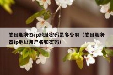 美国服务器ip地址密码是多少啊（美国服务器ip地址用户名和密码）