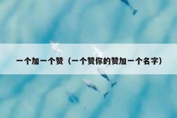 一个加一个赞（一个赞你的赞加一个名字）