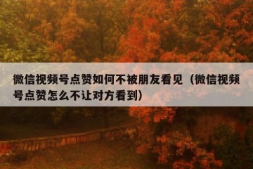 微信视频号点赞如何不被朋友看见（微信视频号点赞怎么不让对方看到）