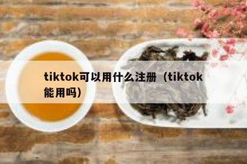 tiktok可以用什么注册（tiktok能用吗）