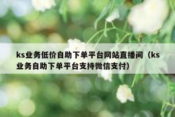 ks业务低价自助下单平台网站直播间（ks业务自助下单平台支持微信支付）