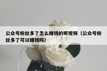 公众号粉丝多了怎么赚钱的呢视频（公众号粉丝多了可以赚钱吗）