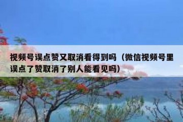 视频号误点赞又取消看得到吗（微信视频号里误点了赞取消了别人能看见吗）