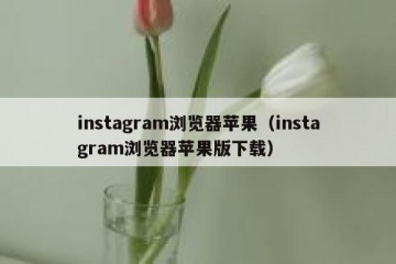 instagram浏览器苹果（instagram浏览器苹果版下载）