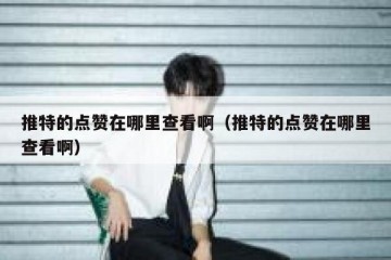 推特的点赞在哪里查看啊（推特的点赞在哪里查看啊）