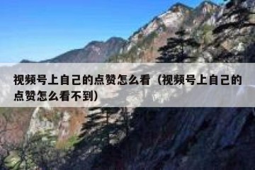 视频号上自己的点赞怎么看（视频号上自己的点赞怎么看不到）