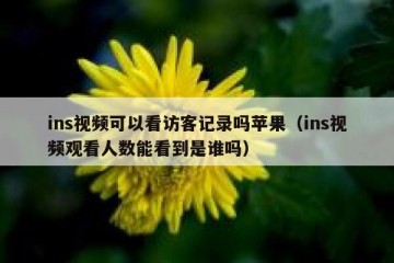 ins视频可以看访客记录吗苹果（ins视频观看人数能看到是谁吗）