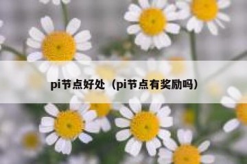 pi节点好处（pi节点有奖励吗）