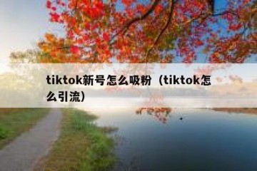 tiktok新号怎么吸粉（tiktok怎么引流）