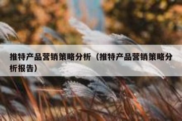 推特产品营销策略分析（推特产品营销策略分析报告）