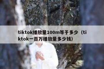 tiktok播放量100m等于多少（tiktok一百万播放量多少钱）