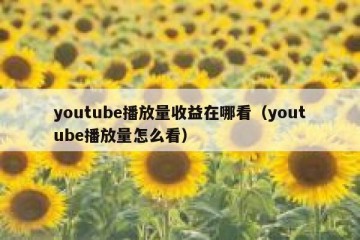 youtube播放量收益在哪看（youtube播放量怎么看）