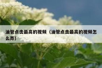 油管点击最高的视频（油管点击最高的视频怎么弄）