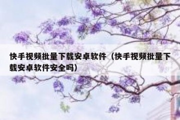 快手视频批量下载安卓软件（快手视频批量下载安卓软件安全吗）