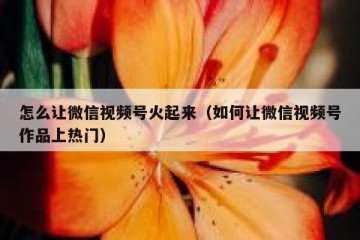 怎么让微信视频号火起来（如何让微信视频号作品上热门）