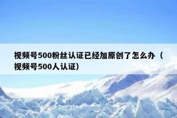 视频号500粉丝认证已经加原创了怎么办（视频号500人认证）
