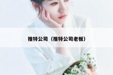 推特公司（推特公司老板）