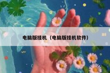 电脑版挂机（电脑版挂机软件）