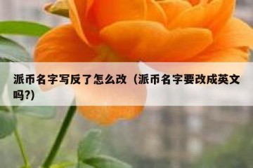 派币名字写反了怎么改（派币名字要改成英文吗?）