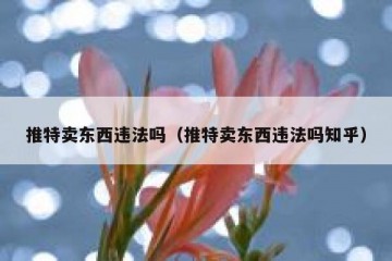 推特卖东西违法吗（推特卖东西违法吗知乎）