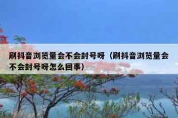 刷抖音浏览量会不会封号呀（刷抖音浏览量会不会封号呀怎么回事）