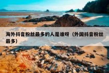 海外抖音粉丝最多的人是谁呀（外国抖音粉丝最多）