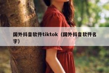 国外抖音软件tiktok（国外抖音软件名字）