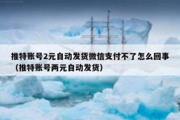 推特账号2元自动发货微信支付不了怎么回事（推特账号两元自动发货）