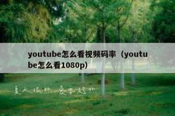 youtube怎么看视频码率（youtube怎么看1080p）