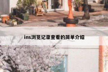 ins浏览记录查看的简单介绍