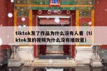 tiktok发了作品为什么没有人看（tiktok发的视频为什么没有播放量）