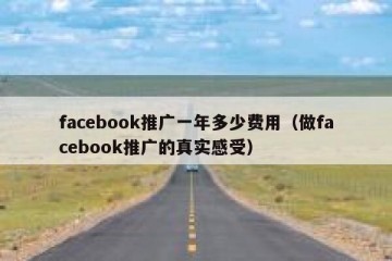 facebook推广一年多少费用（做facebook推广的真实感受）