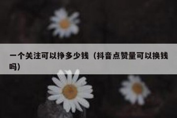 一个关注可以挣多少钱（抖音点赞量可以换钱吗）