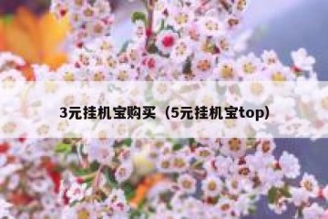 3元挂机宝购买（5元挂机宝top）