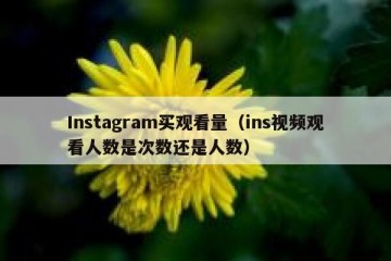Instagram买观看量（ins视频观看人数是次数还是人数）
