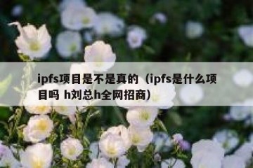 ipfs项目是不是真的（ipfs是什么项目吗 h刘总h全网招商）